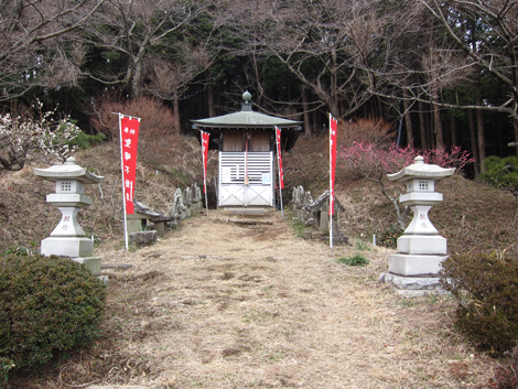 20190214hike (351)